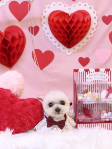 20240203じゅのんくん